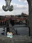 DSCN0617.jpg