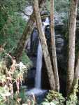 DSCN1557.JPG