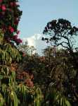 DSCN1591.JPG