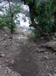 DSCN1603.JPG